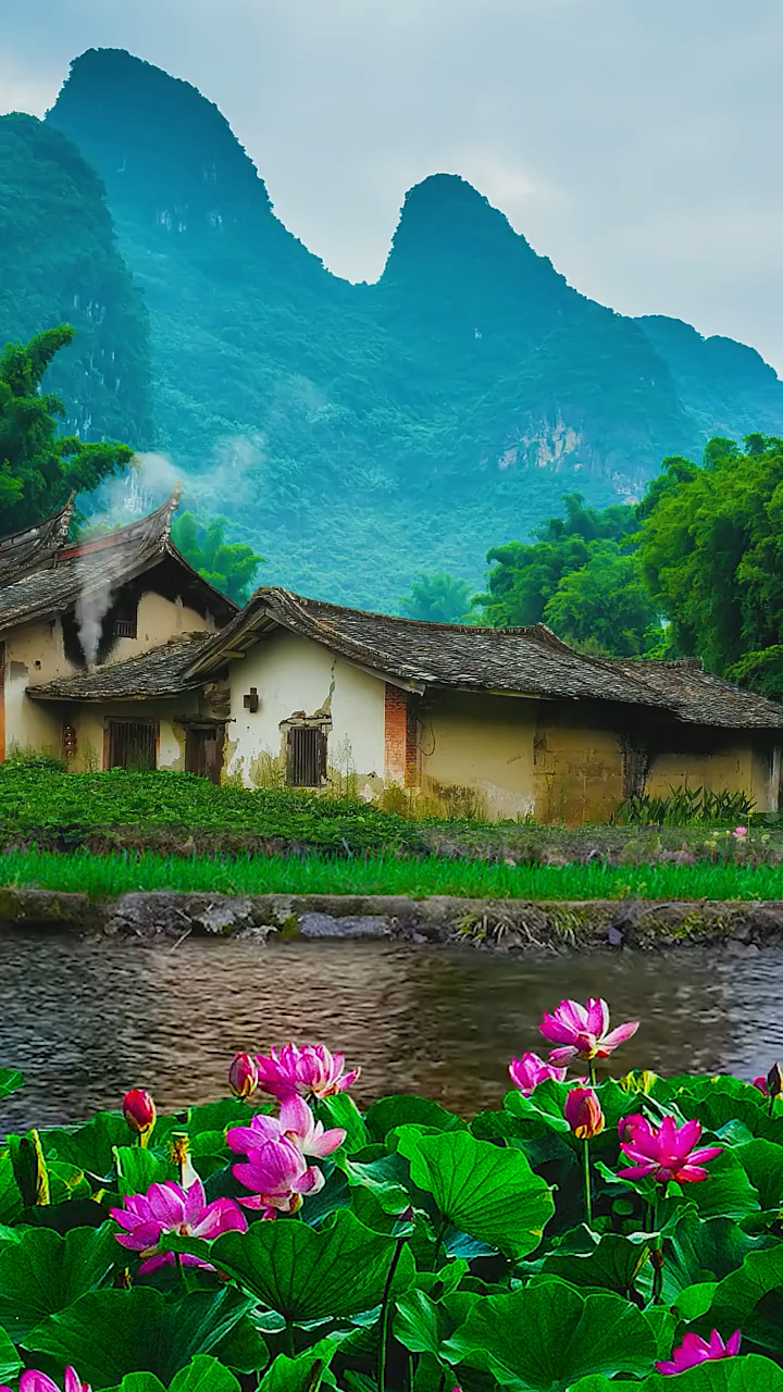 世外仙境山水间,农家小院度余年,忘却红尘三千事,花下煮酒花下眠"隐居