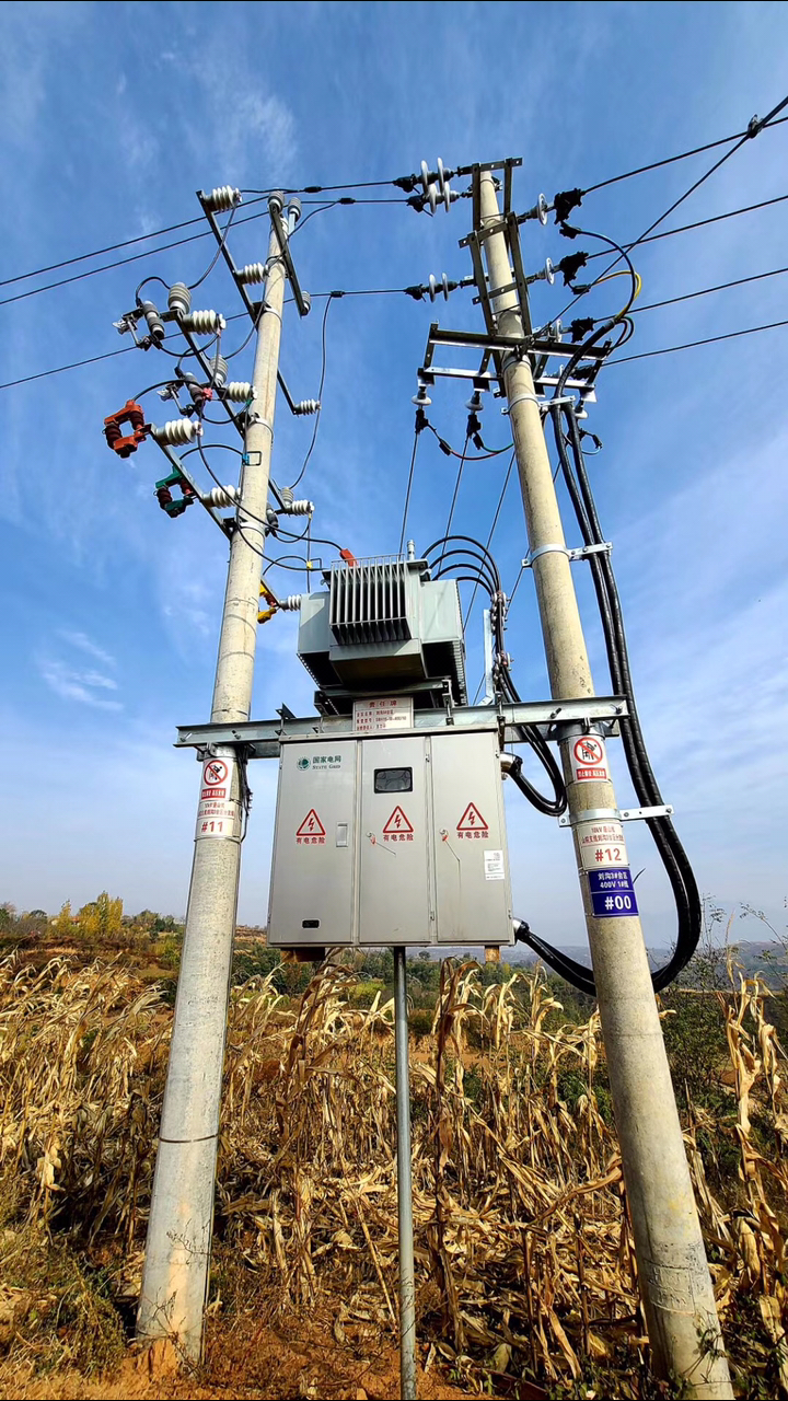 参观国家电网配网建设工程