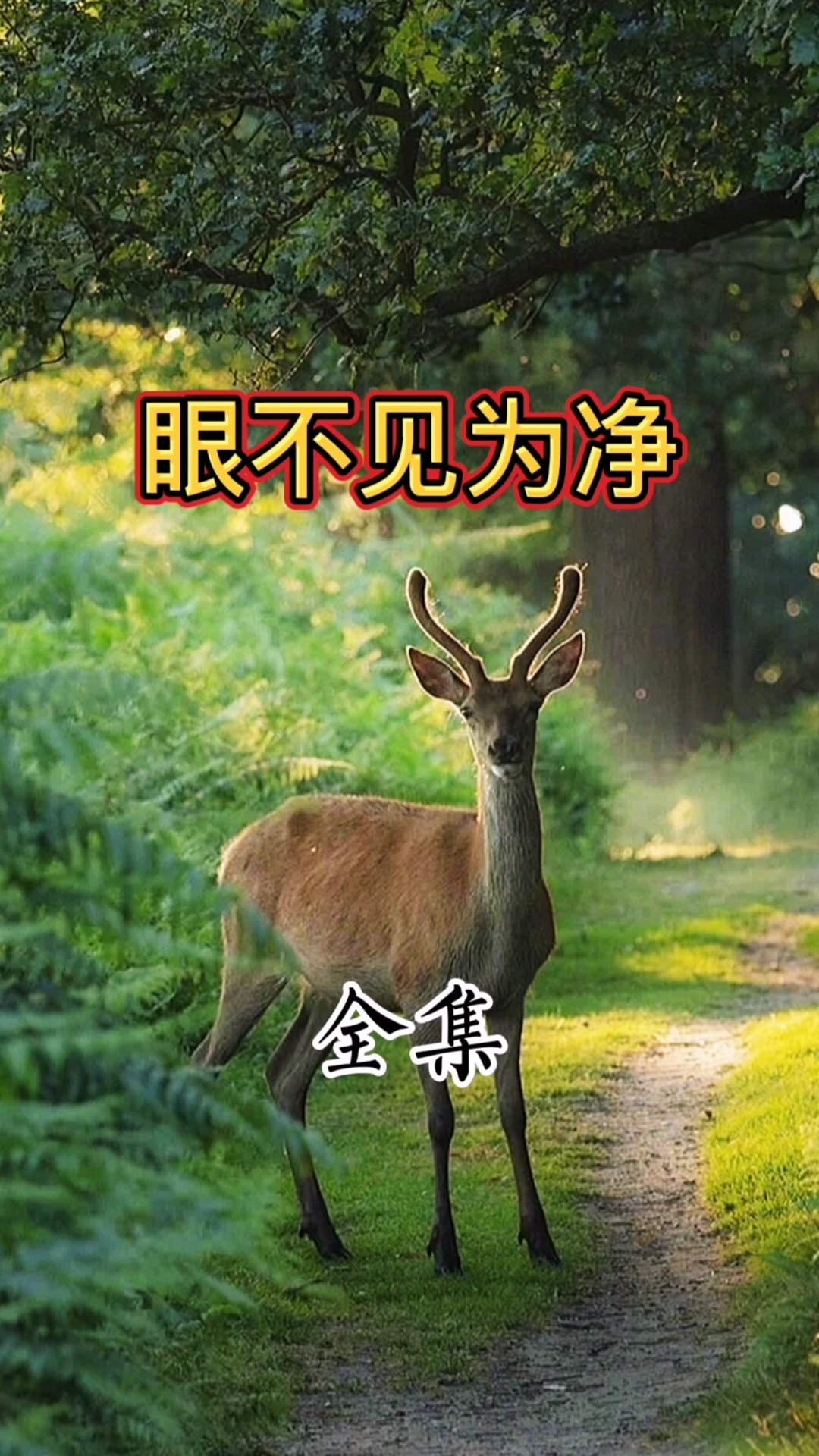 民间故事#眼不见为净的典故-度小视