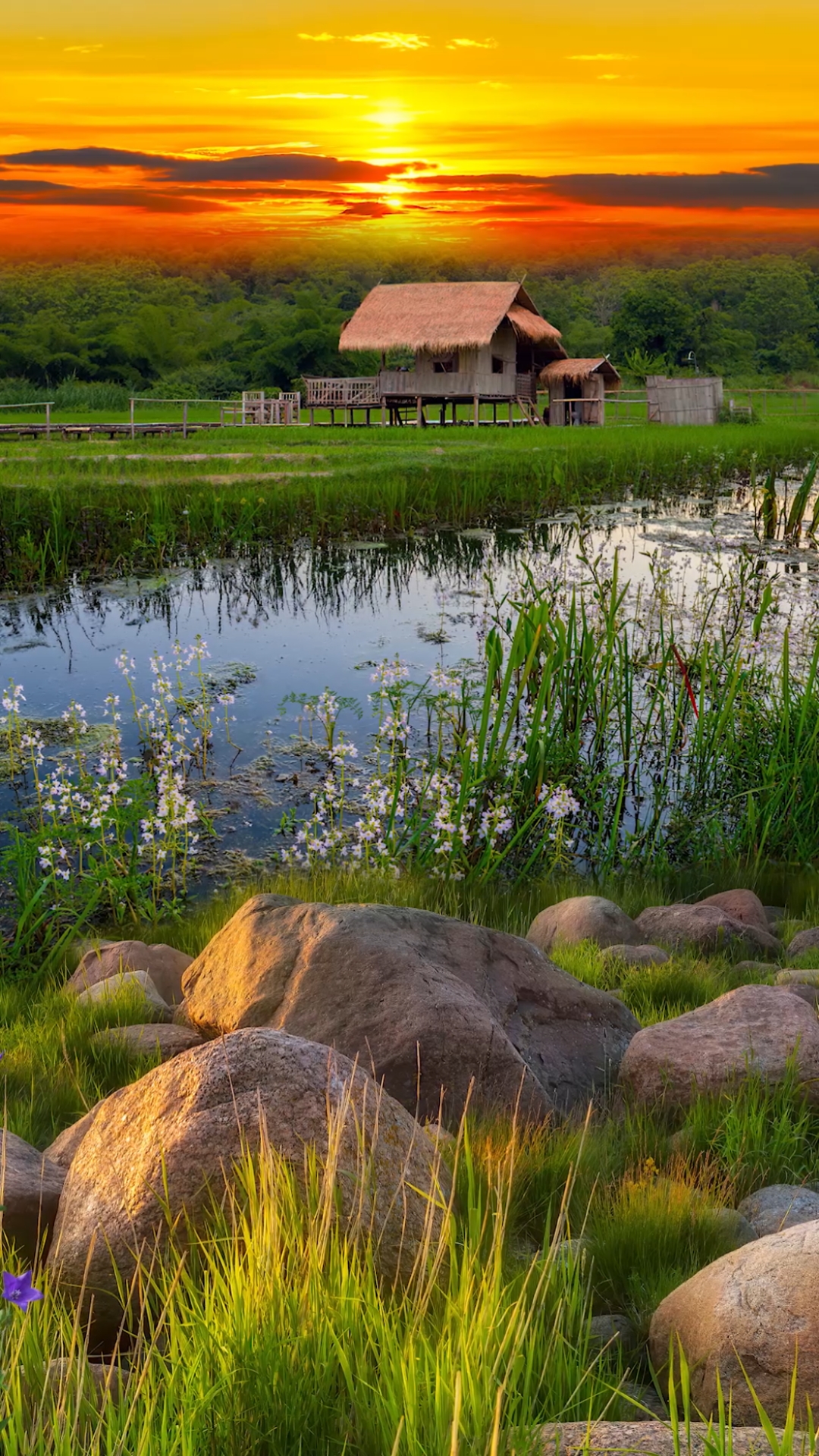 田园生活#舒适安逸,远离喧嚣,空气清新的田园生活,你喜欢吗?