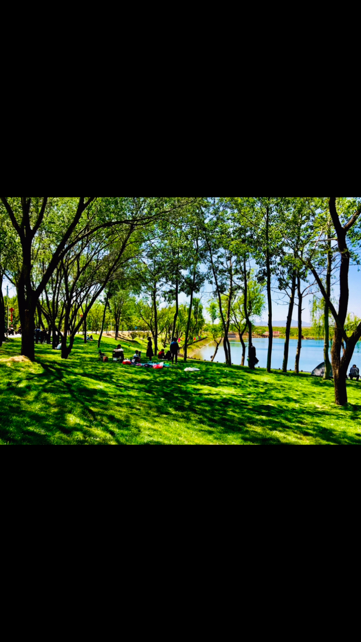 邯郸市渚河源郊野公园风景秀美,令人心旷神怡!