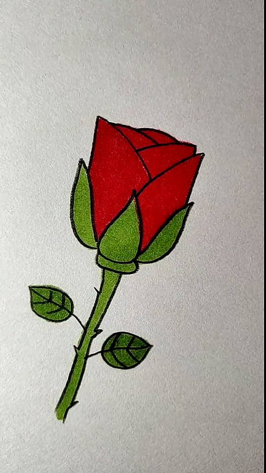 简笔画#用两个字母y画鲜艳的玫瑰花