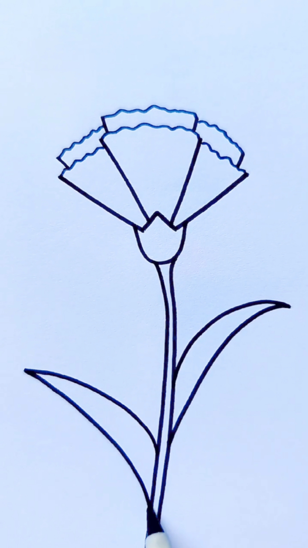 这样画康乃馨是不是简单