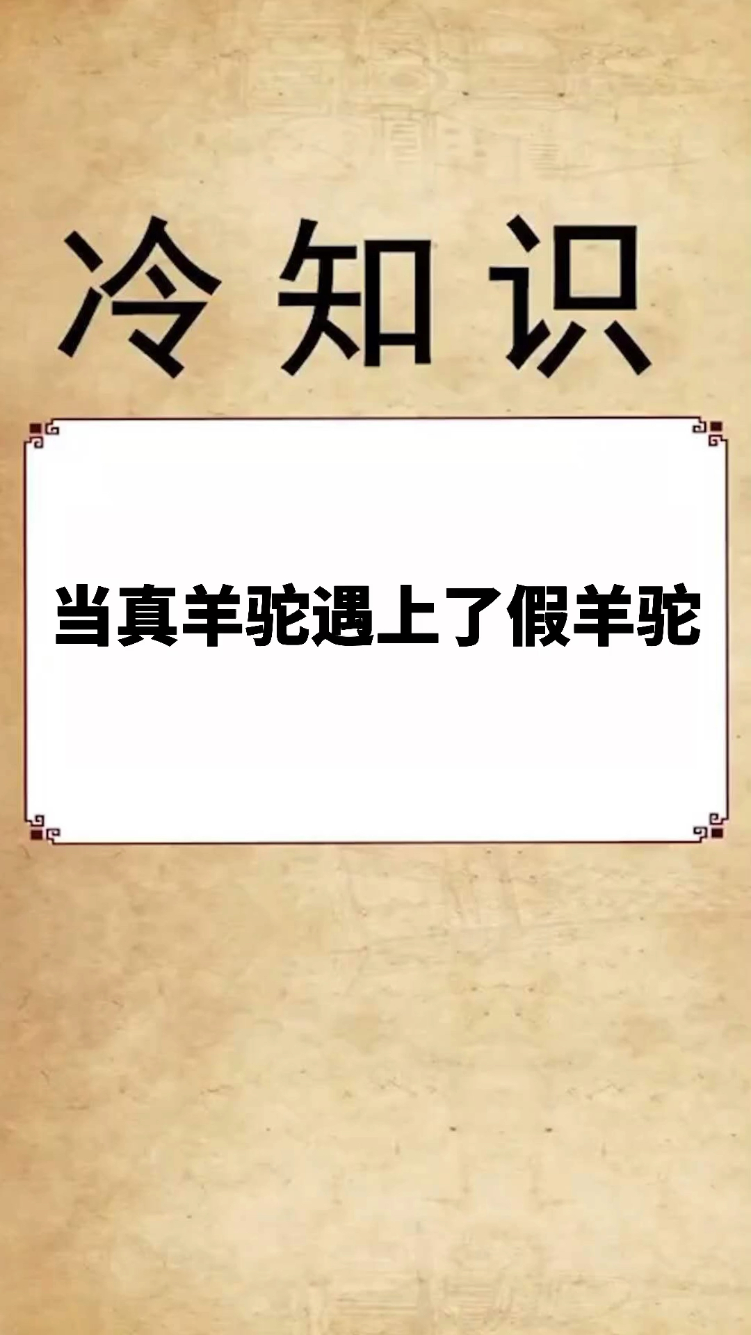 天秀不如你秀#真真假假分不清