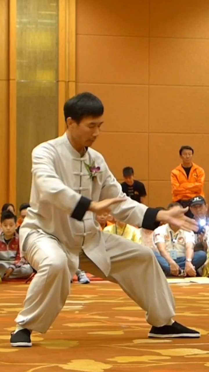 太极拳陈炳老师演练的陈氏太极拳