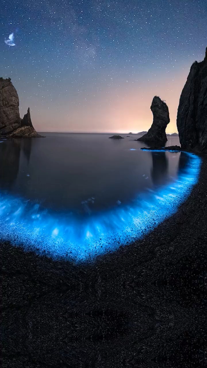 夜深人静带你看不一样的荧光海滩