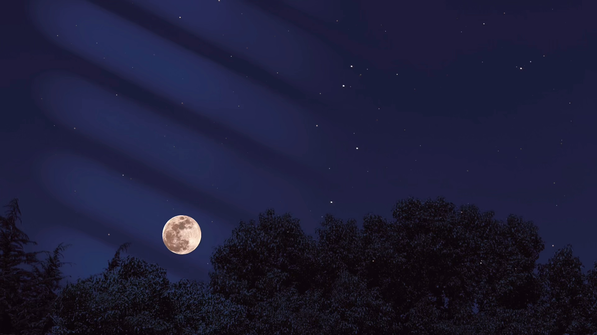 扎心情感语录#你不一定非得长成玫瑰,你乐意的话,做茉莉,做雏菊,做