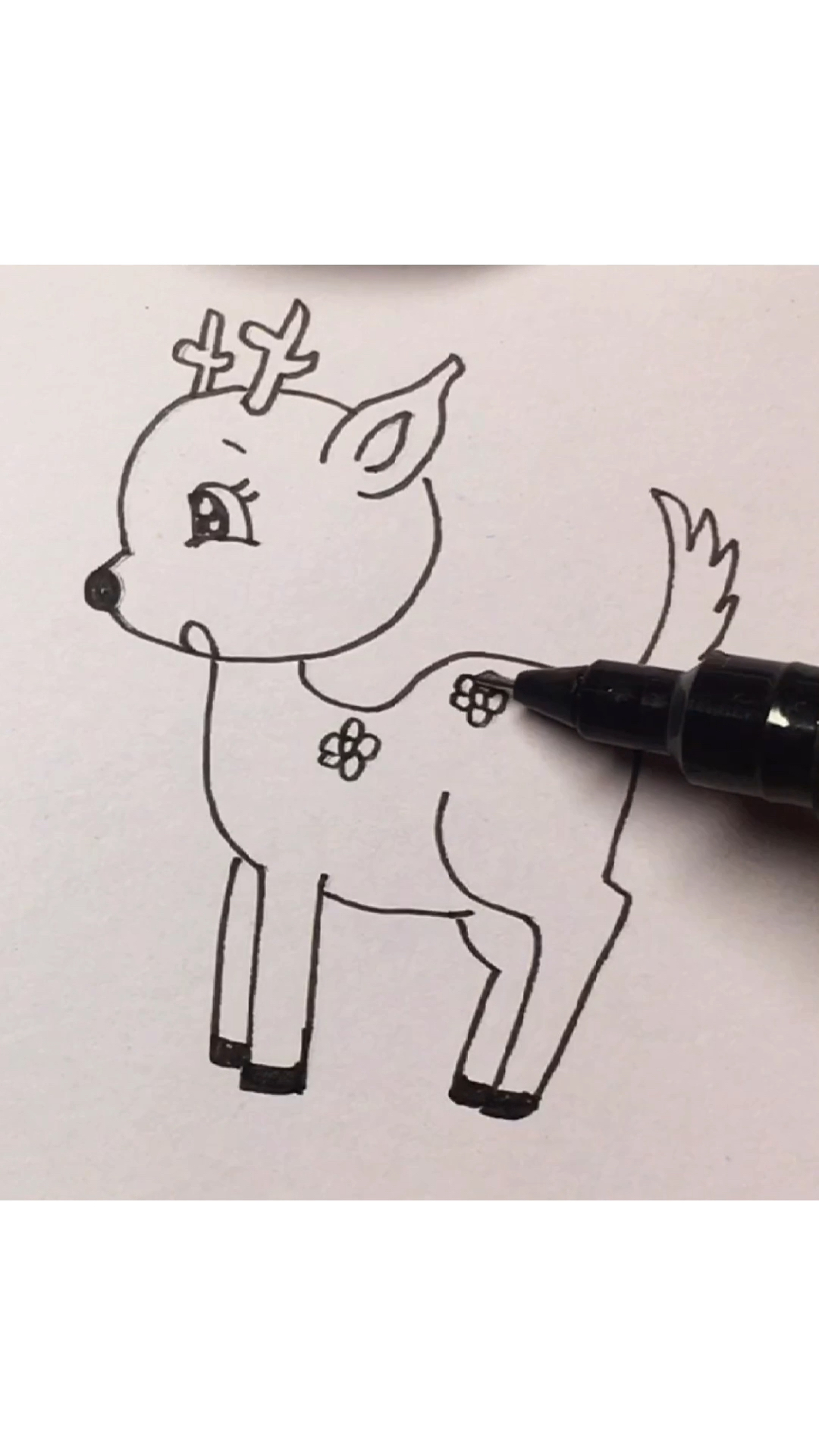 小动物简笔画,可爱的梅花鹿