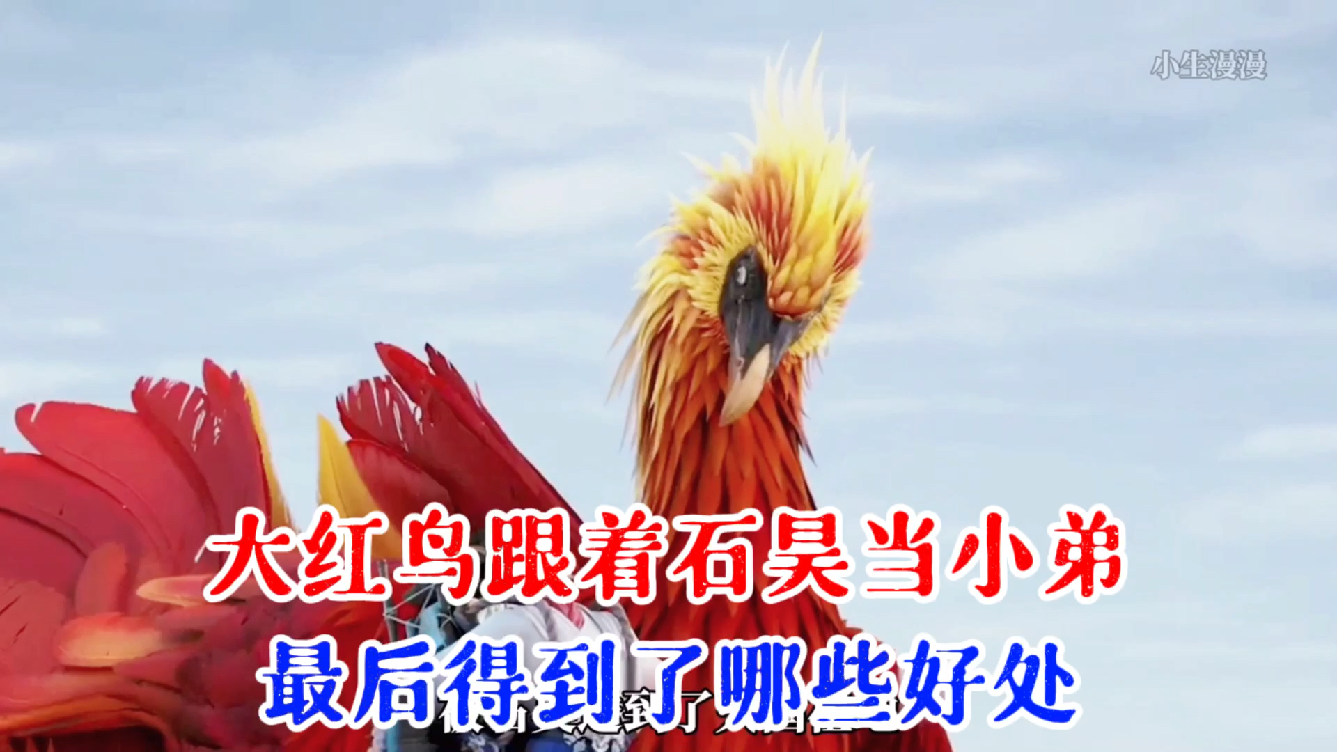 动漫完美世界大红鸟跟着石昊当小弟这么多年最后得到一哪些好处