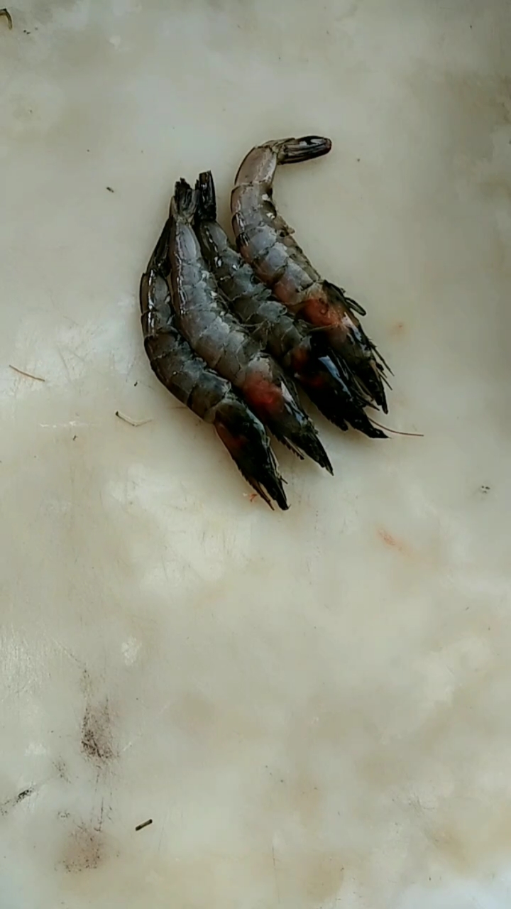 酒店里放久的黑头的虾,大厨这样一改刀价钱翻了两倍,你还会吃吗?