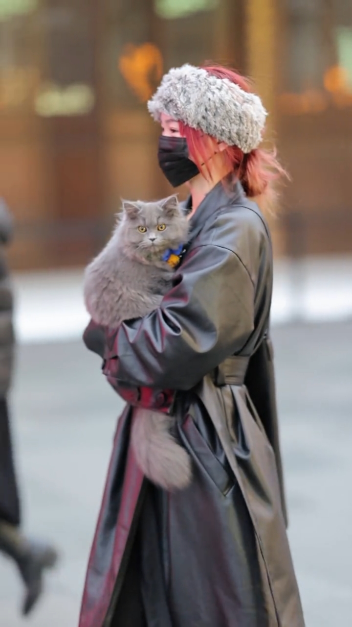 街拍#猫咪给小姐姐添加了几分神秘感!