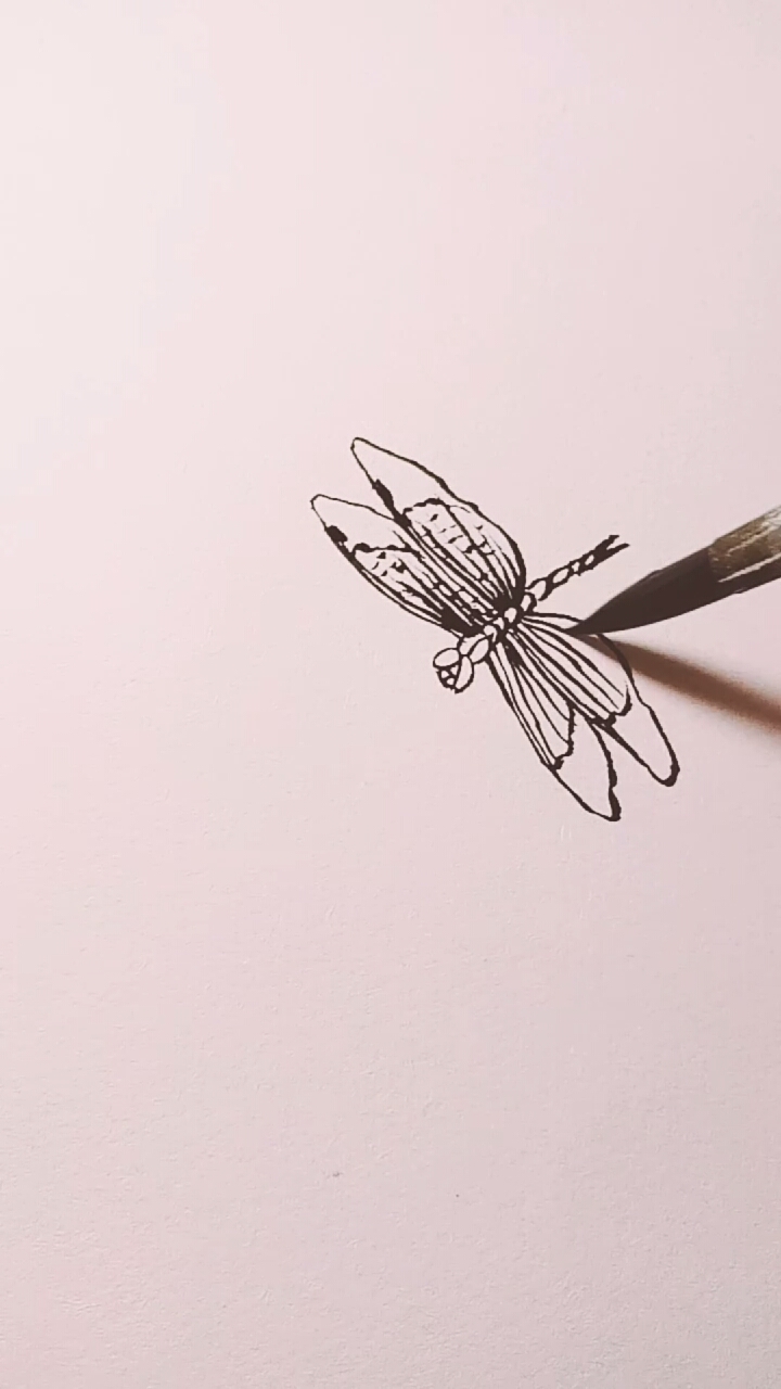 一看就会的白描画#蜻蜓白描画法-度小视