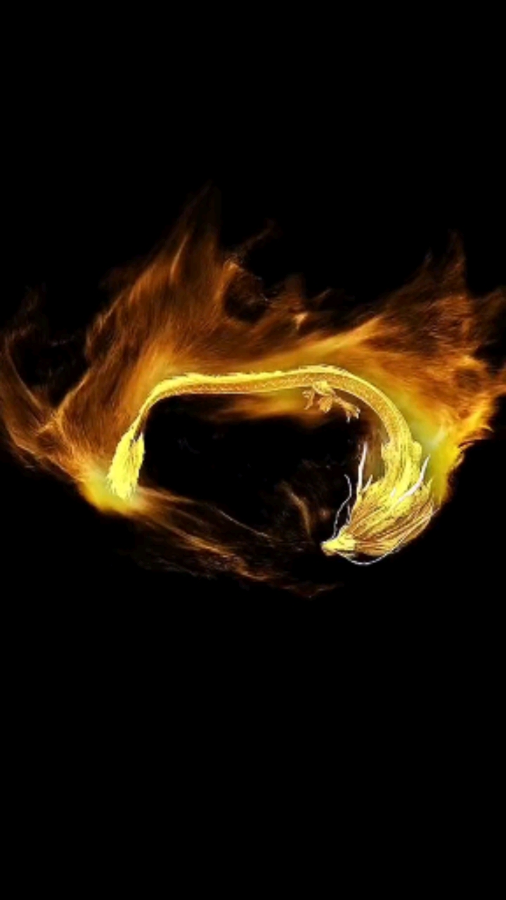 全民特效师#高清素材之金龙霸气缠身