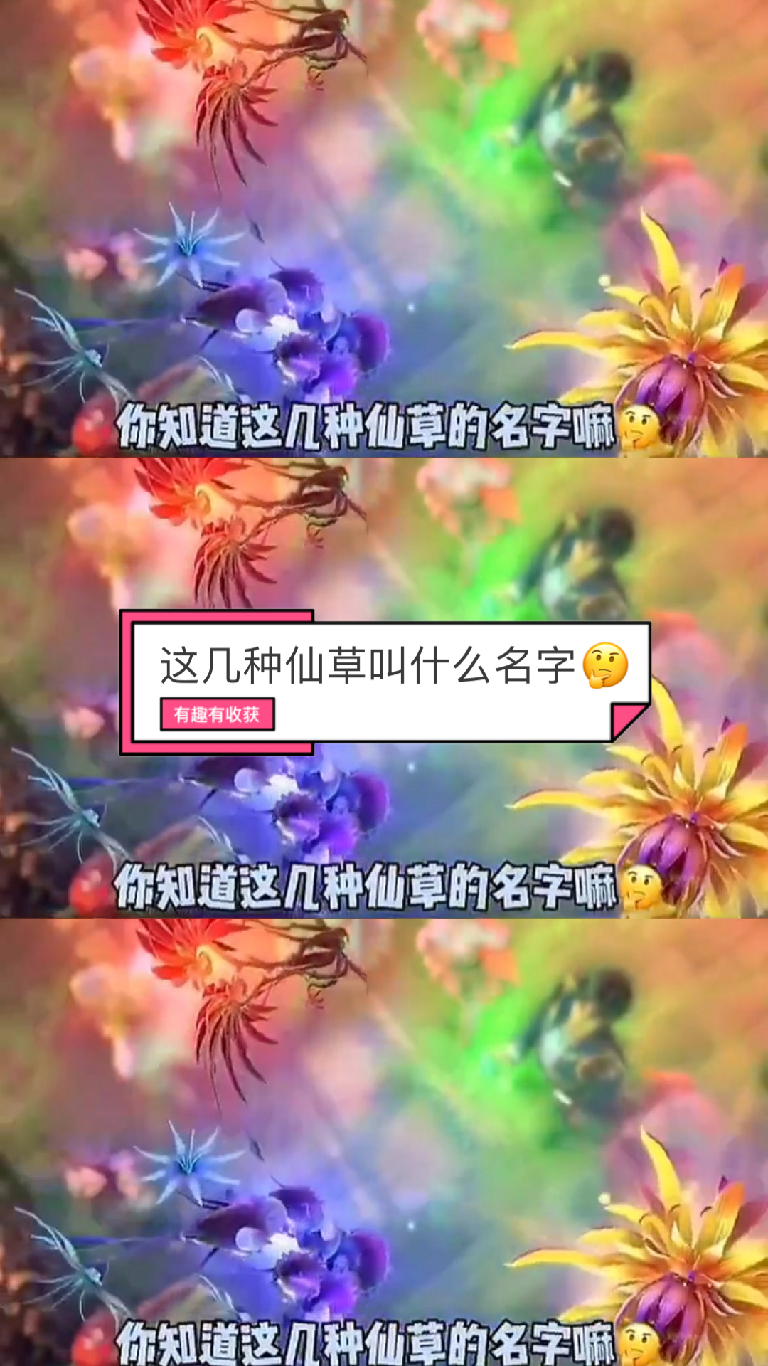 斗罗大陆#这几种仙草叫什么名字