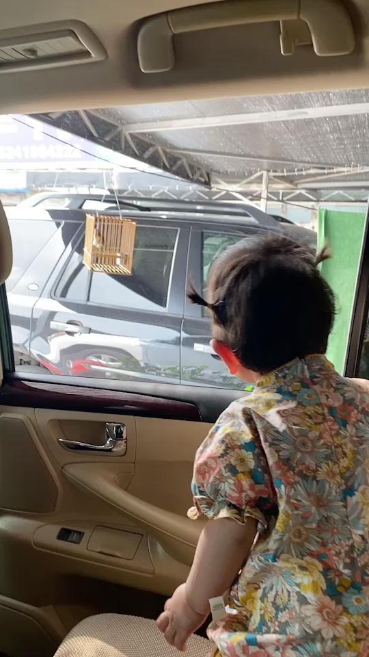 出去溜溜就开心