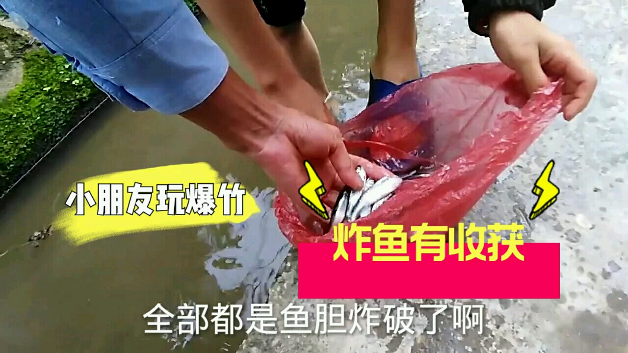 乡村生活小朋友玩爆竹炸鱼有收获勾起了我的童年趣事有玩过的吗