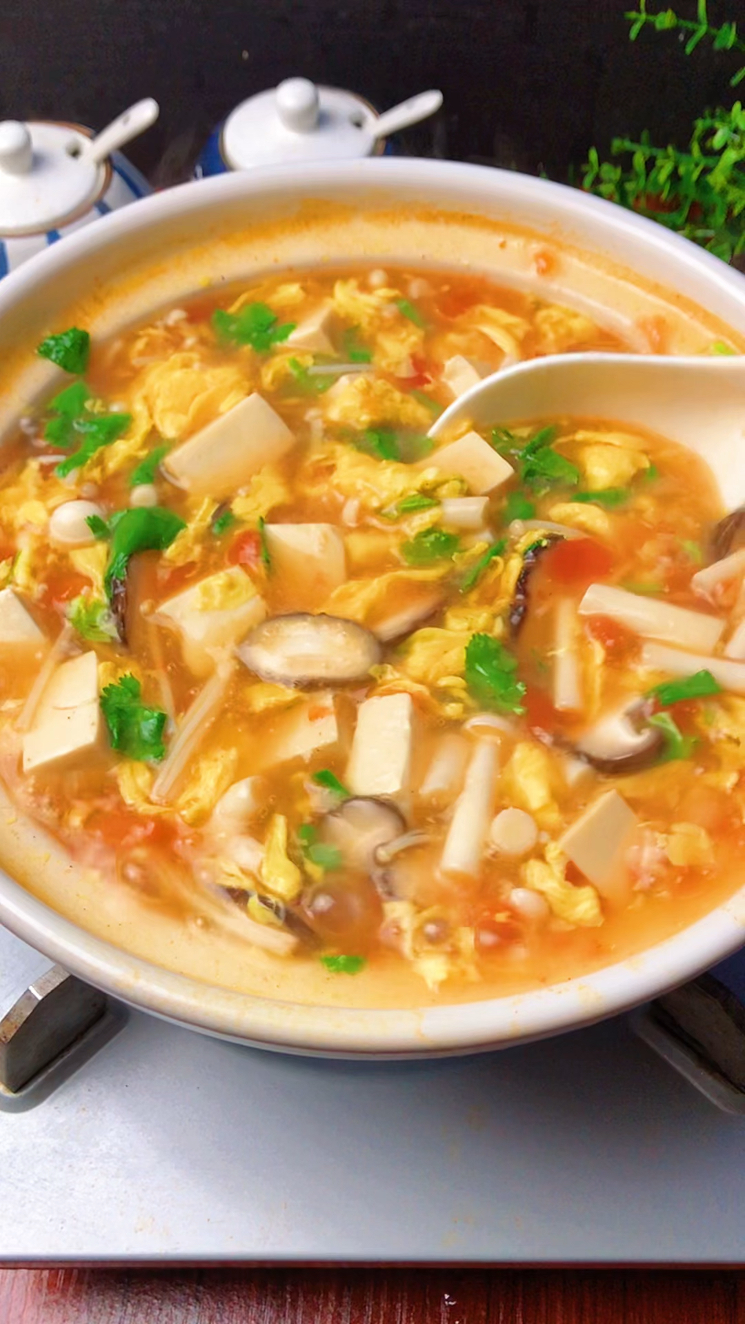 天气凉了多做点西红柿菌菇豆腐汤喝喝吧