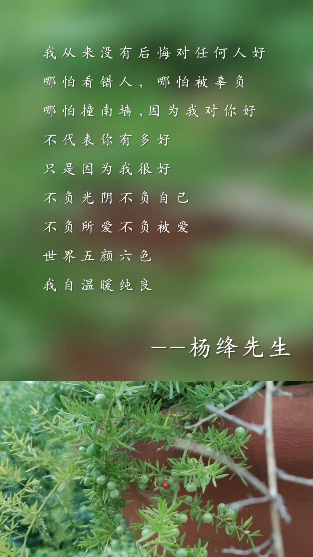 扎心情感语录#世界五颜六色,我自温暖纯良