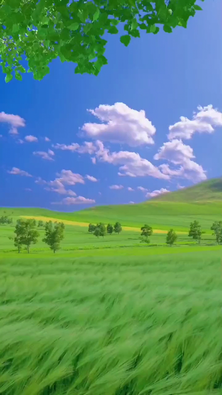 聆听着远处传来的悠扬牧歌长调草原让人感受到天地辽阔岁月悠远