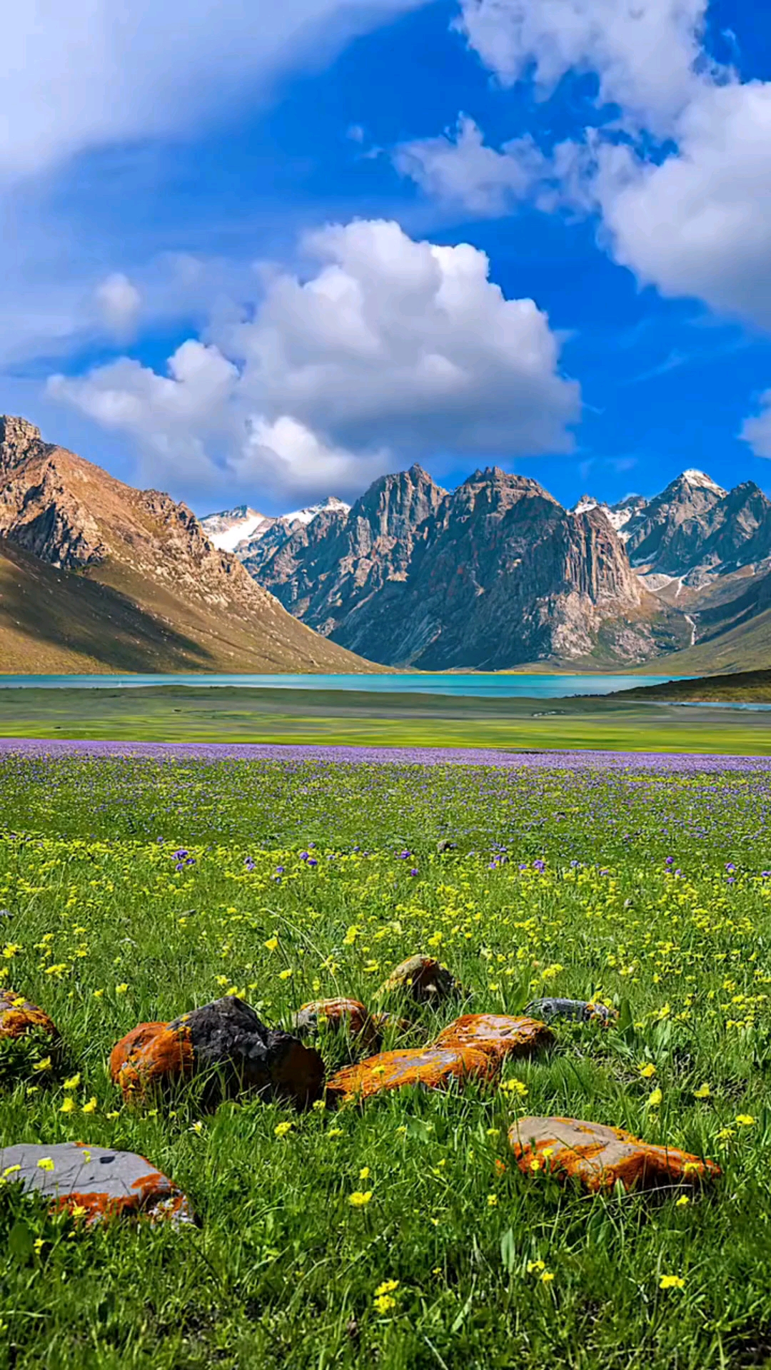 新疆:巴音布鲁克大草原.