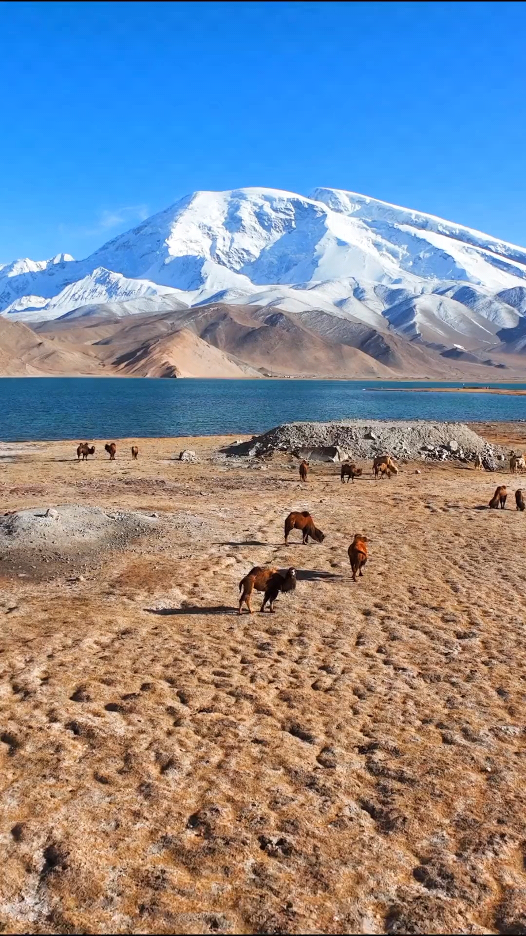 新疆:喀什地区冰山之父的慕士塔格峰.-度小视