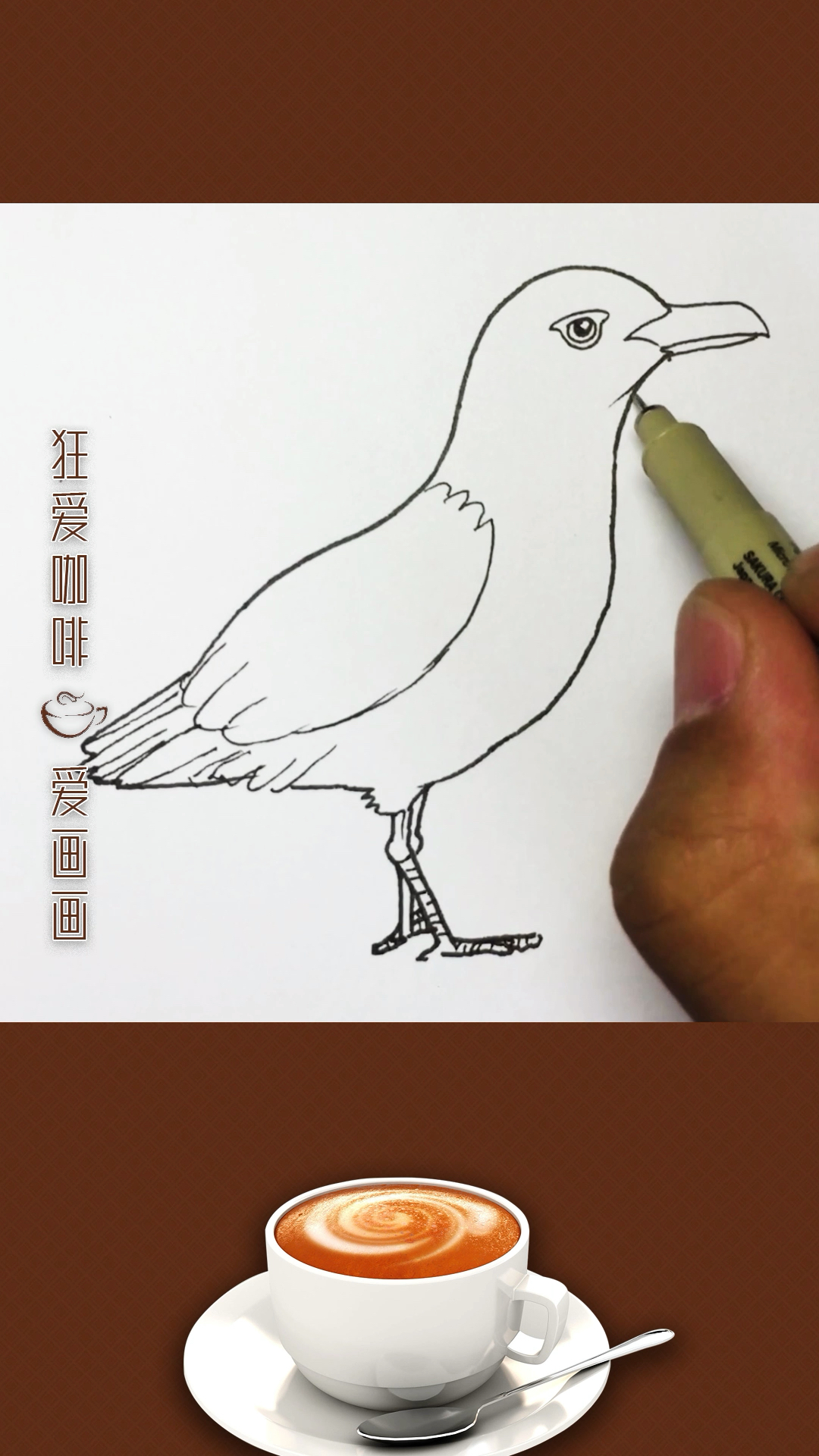 北极鸥简笔画图片图片