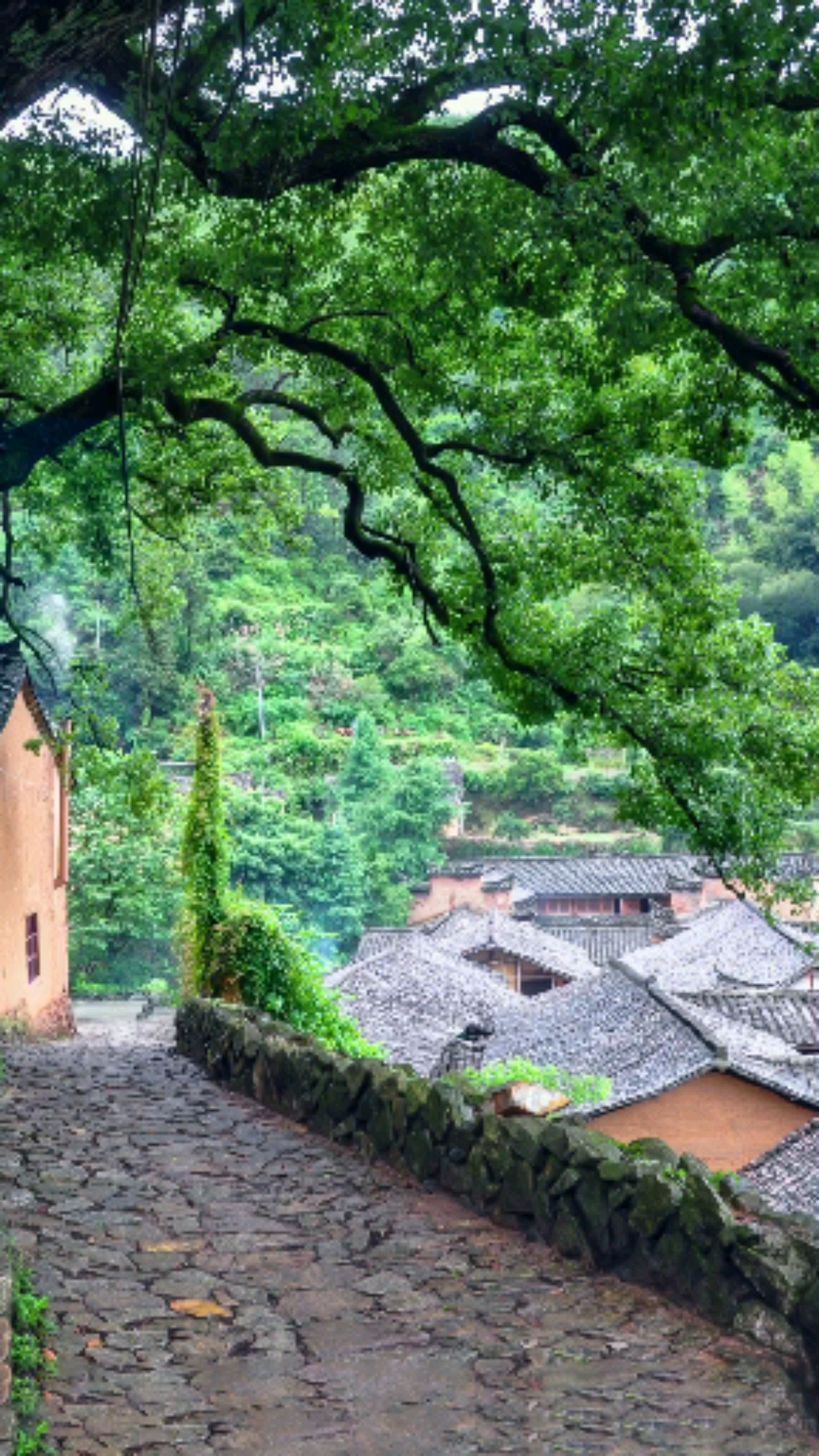 宁静的小山村#古树炊烟青瓦楼,鸟鸣犬吠村更幽,世间自有清净地,远离