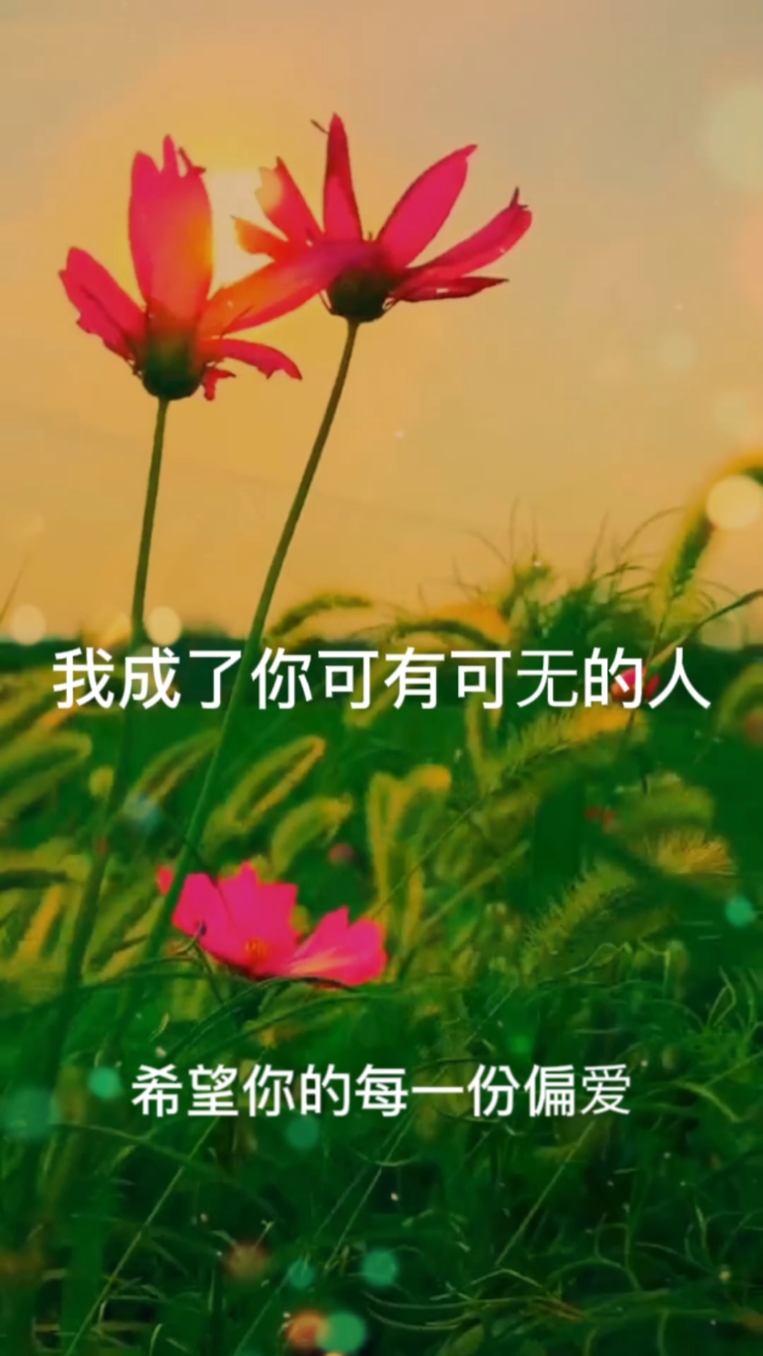 情感故事#我成了你可有可无的人