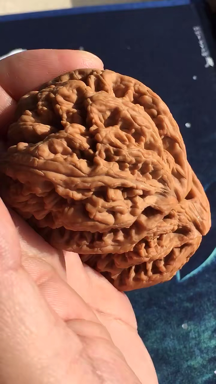 文玩#鹰钩子大粗筋