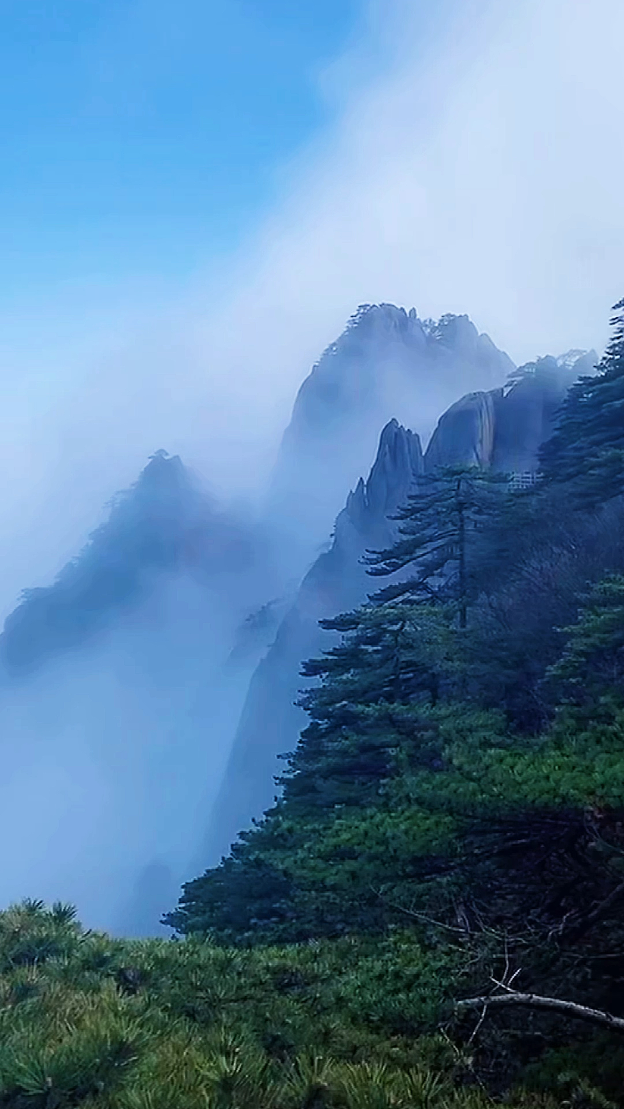 #旅行#云雾缭绕人间仙境的黄山风景分享给大家.-度小视