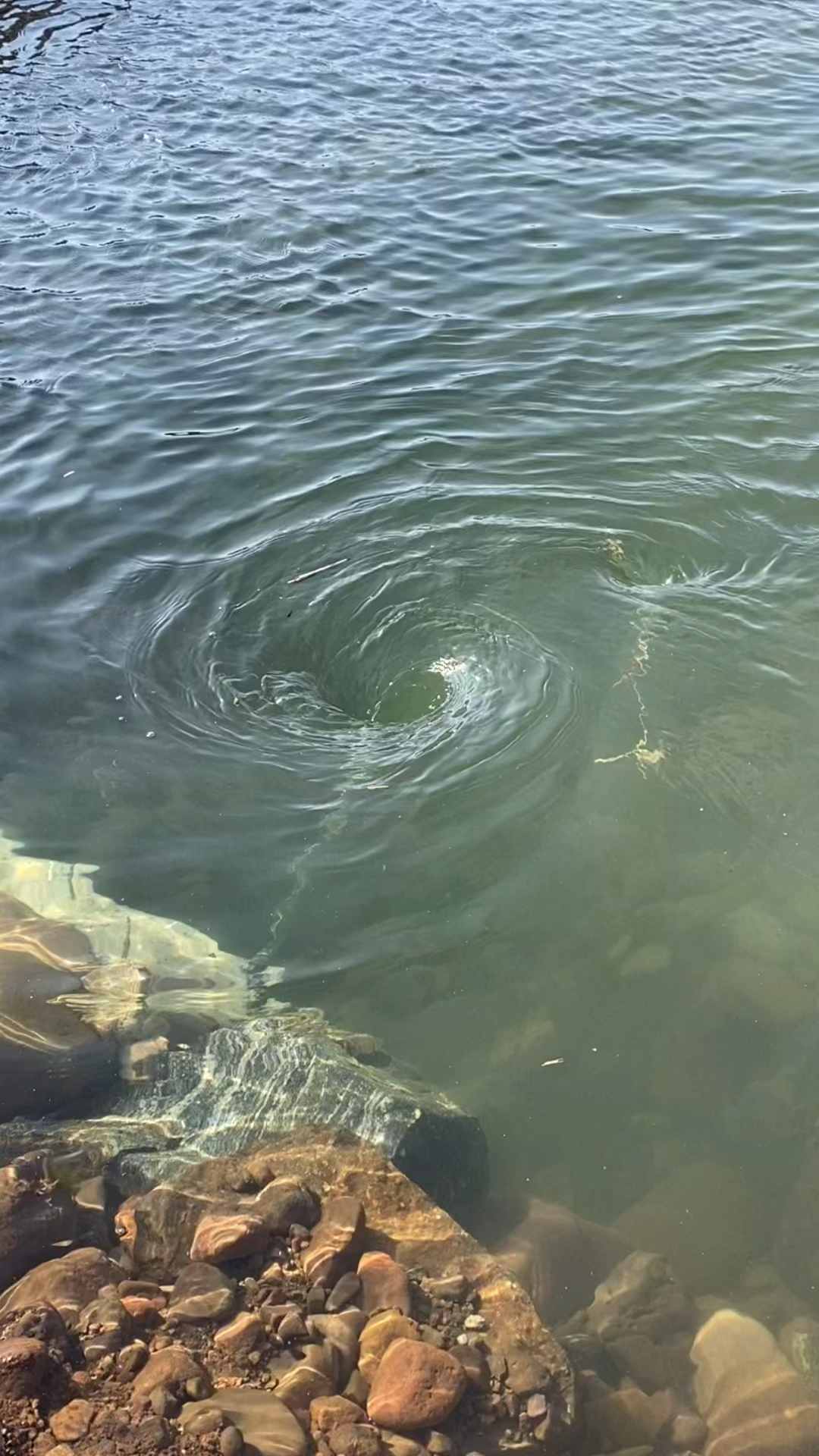 亲近大自然河水中的小漩涡