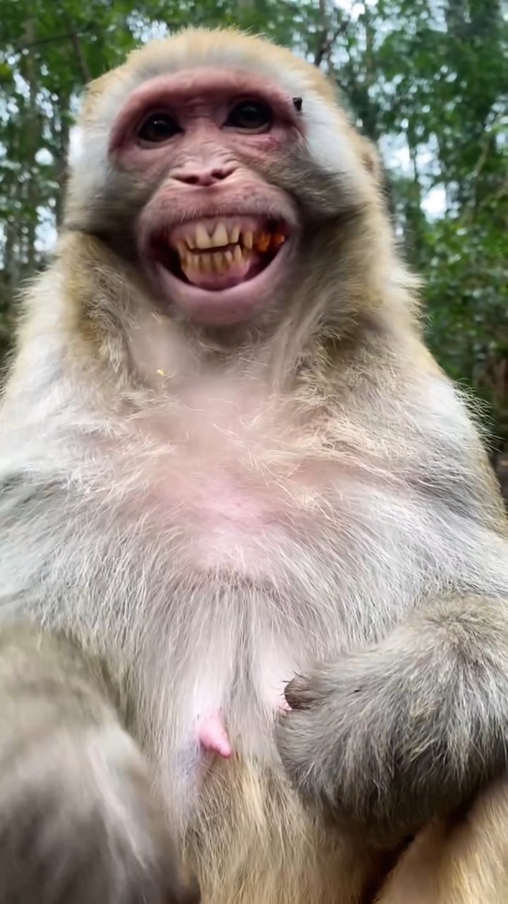 [奸笑][奸笑]看我的八颗大牙,嘿嘿嘿嘿嘿嘿