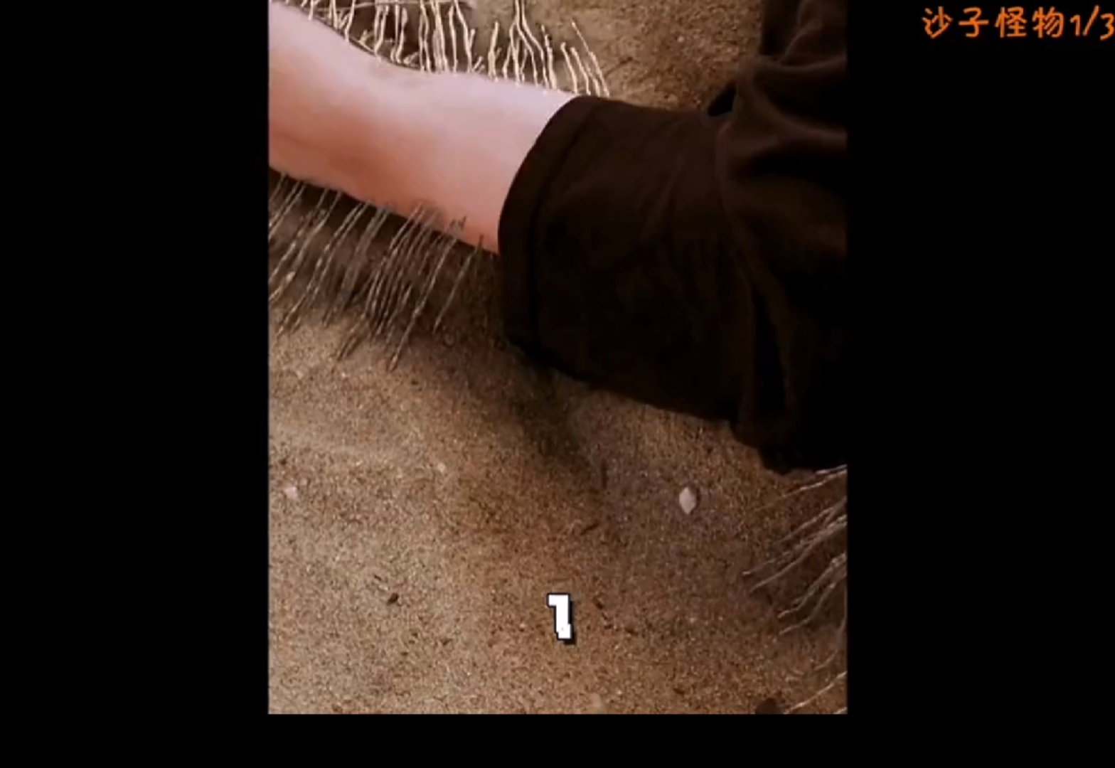 沙子怪物【一】一晚上的时间居然沙子变异了.