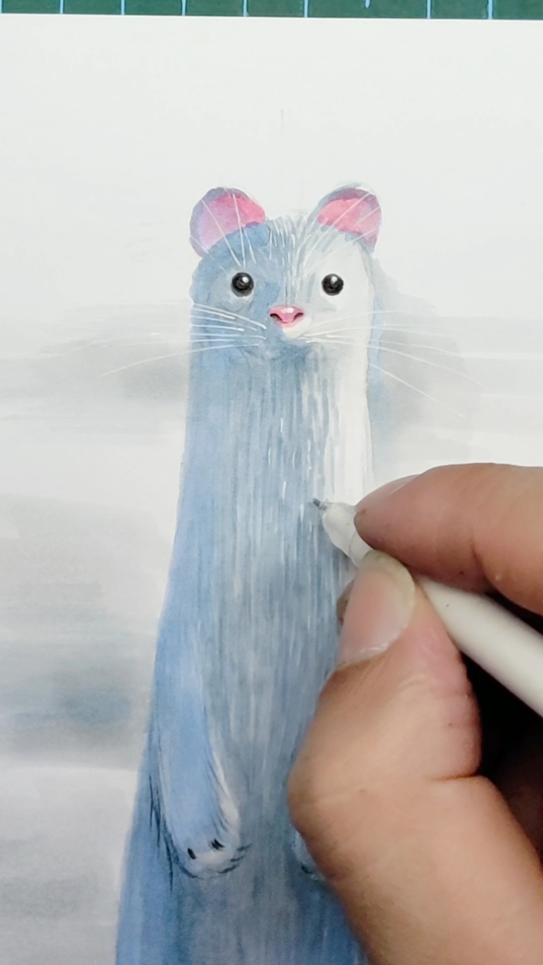 手绘#马克笔手绘动物雪貂