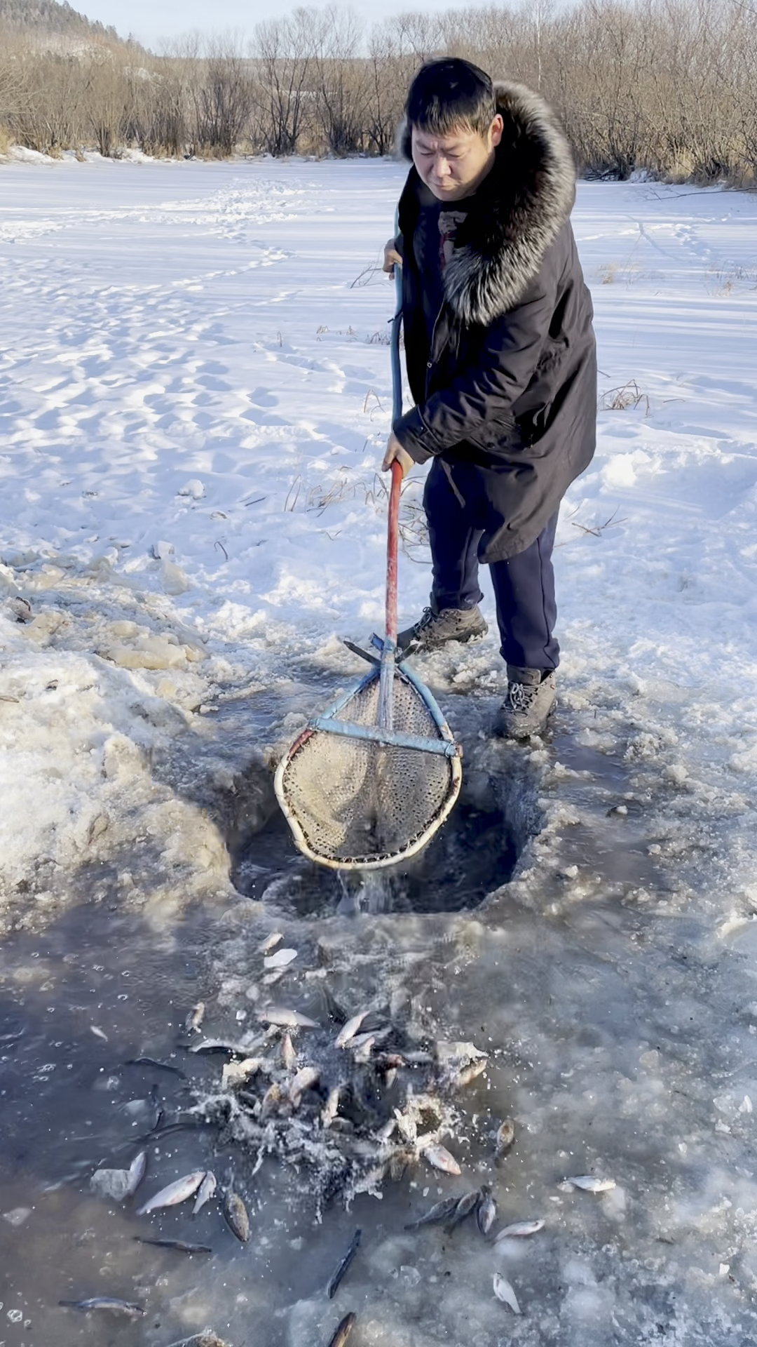 记录生活#冰窟窿搅鱼了