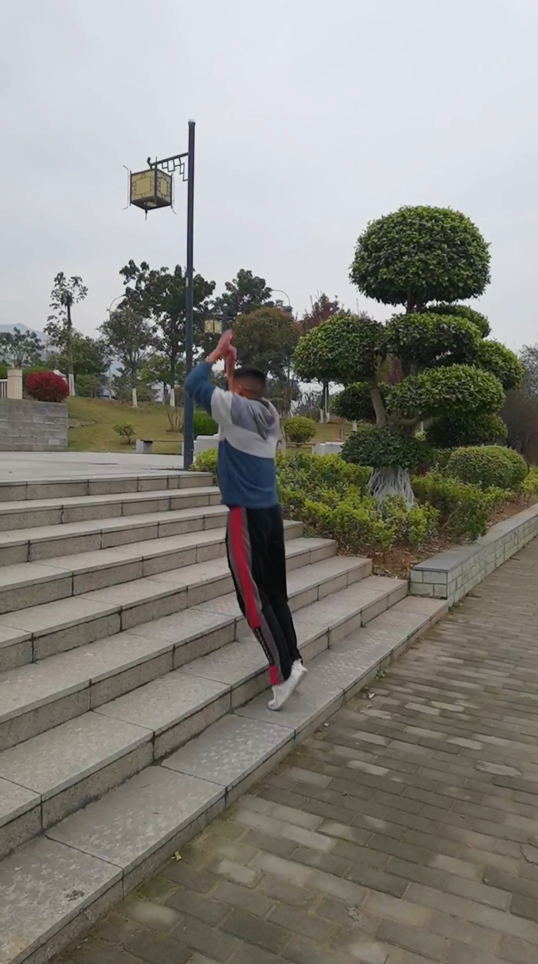 中华武术#原地跳七步中间踩空气