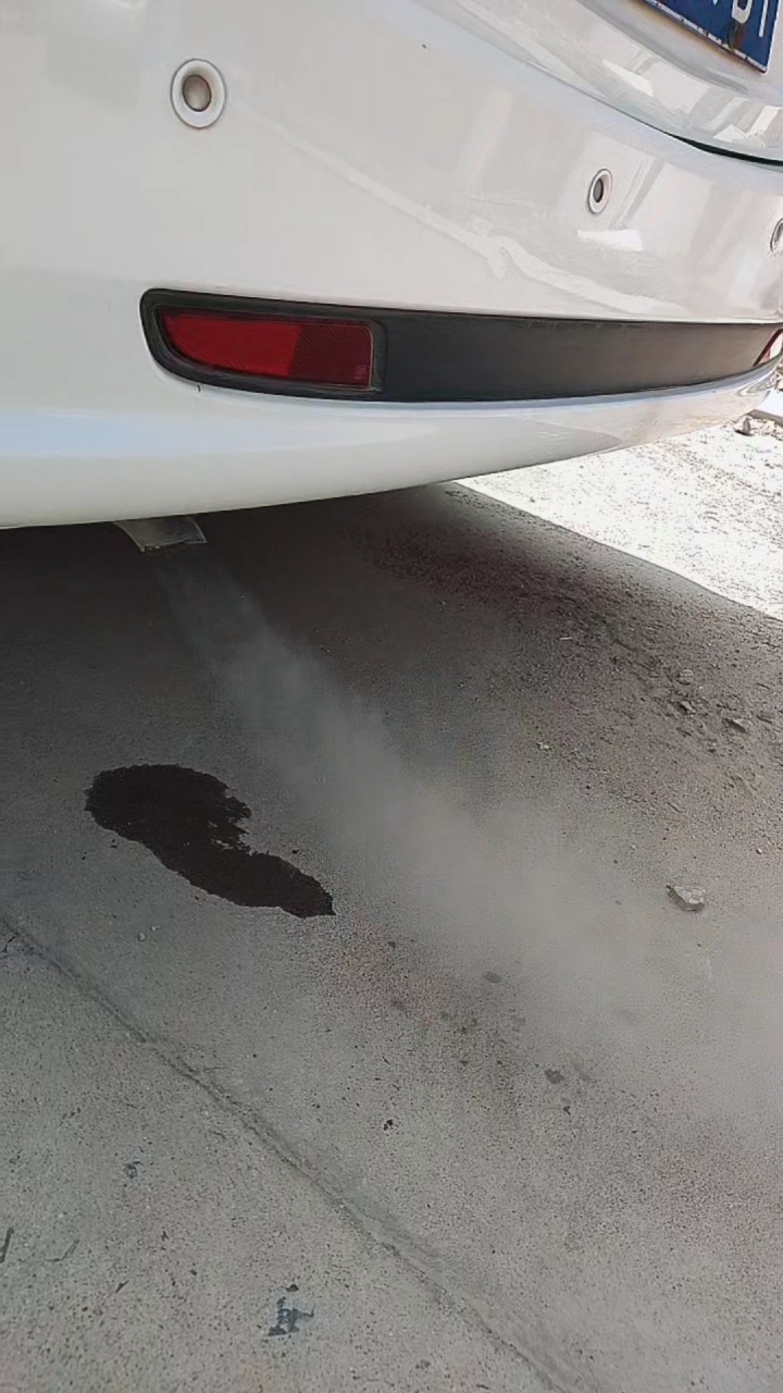 汽车排气筒冒黑烟,还漏水正常吗?