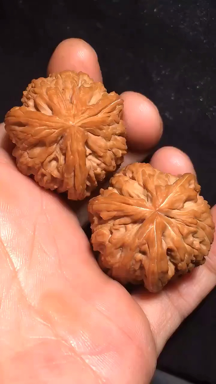 文玩核桃#南疆的三棱正奔