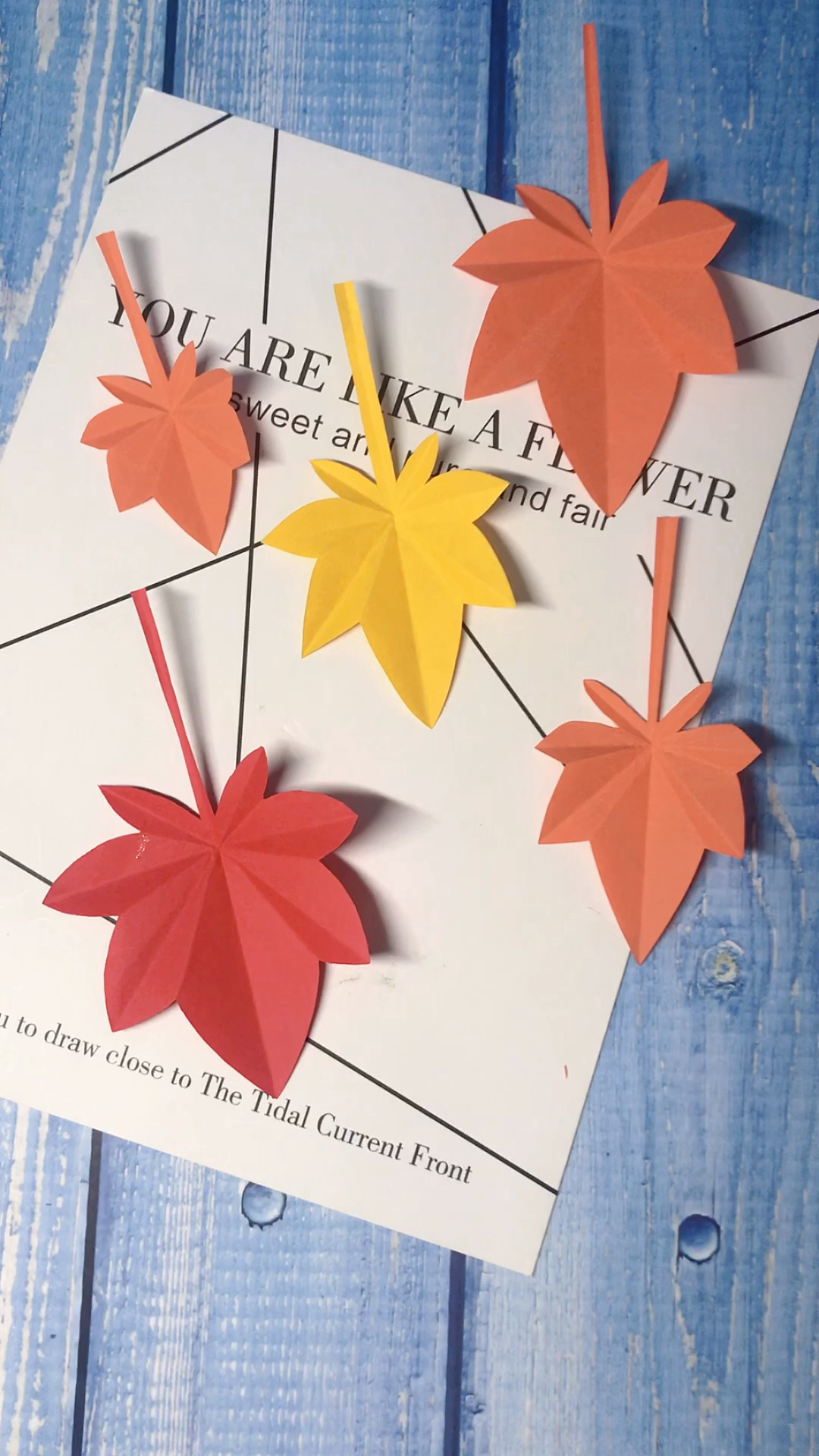 手工剪简单的叶子卡纸图片