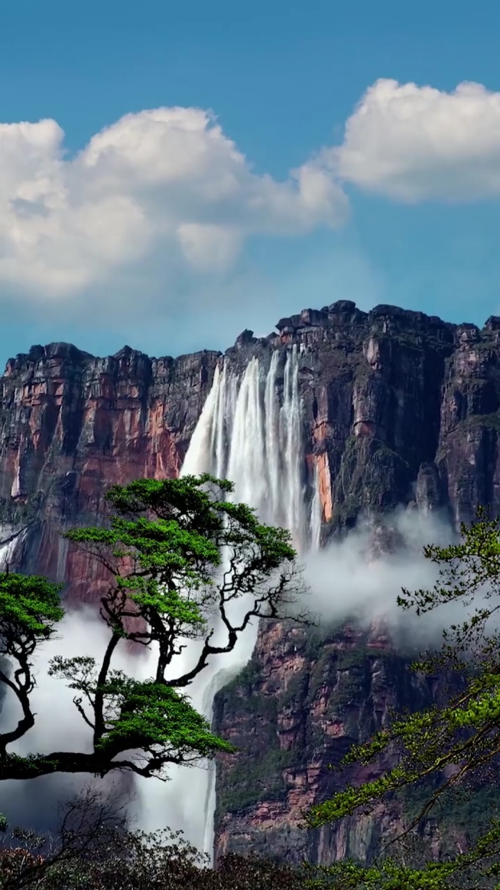 世界第一高瀑布安赫尔瀑布,又名天使瀑布,总落差979米,真是飞流直下