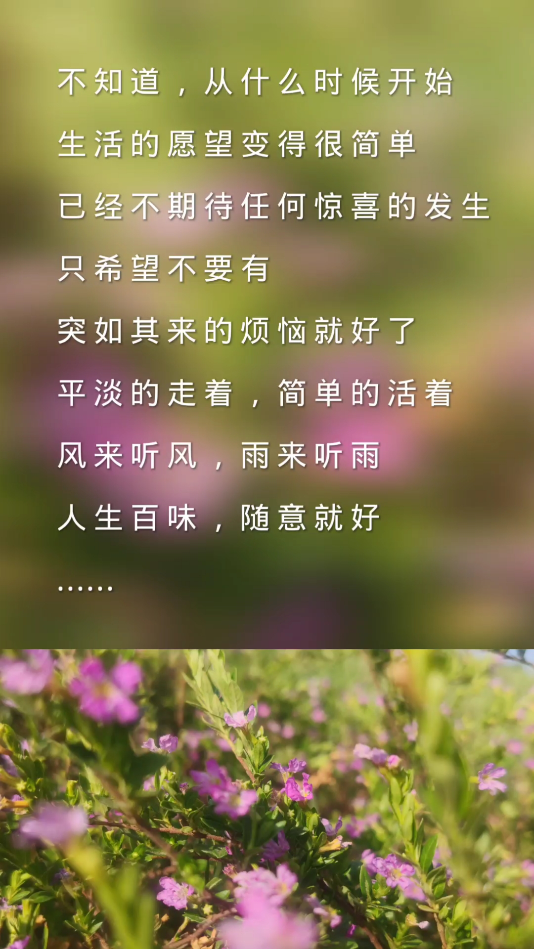 扎心情感语录#人生百味,随意就好