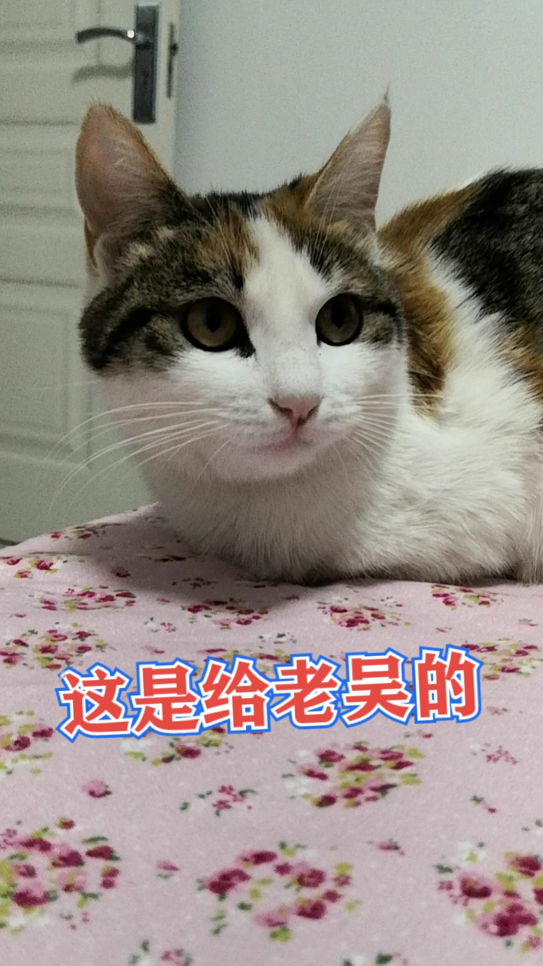 音为有你#老吴的礼物