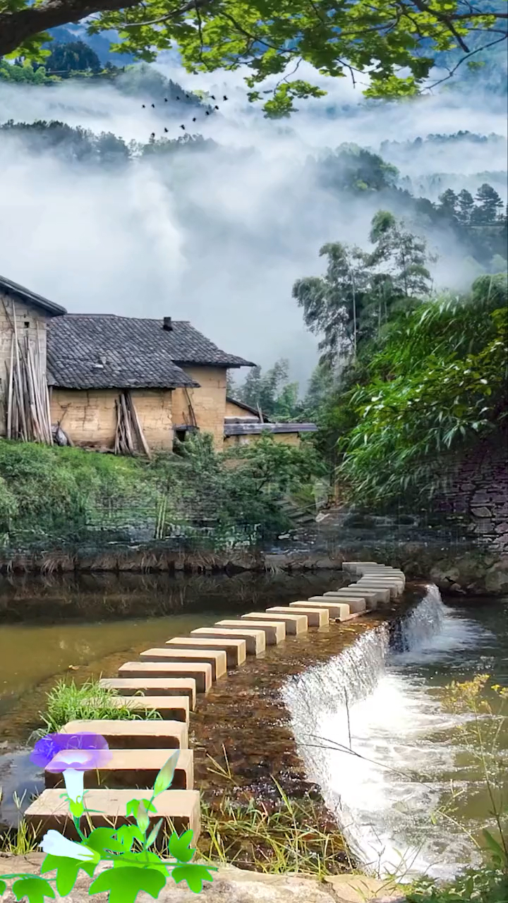 这就是我家,一出门就是潺潺流水,绿油油的一片,我知道这种农村视频