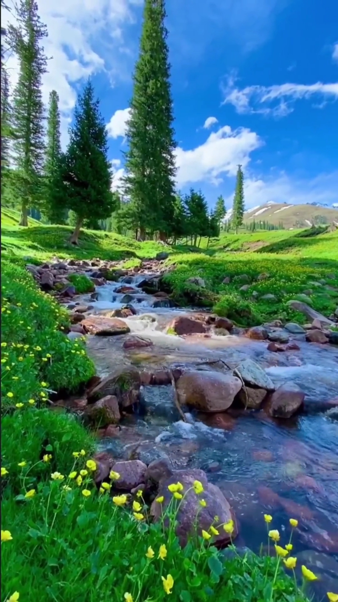 蓝蓝的天,白白的云,心情舒畅啊!治愈风景你喜欢吗?你喜欢哪里风景呢?