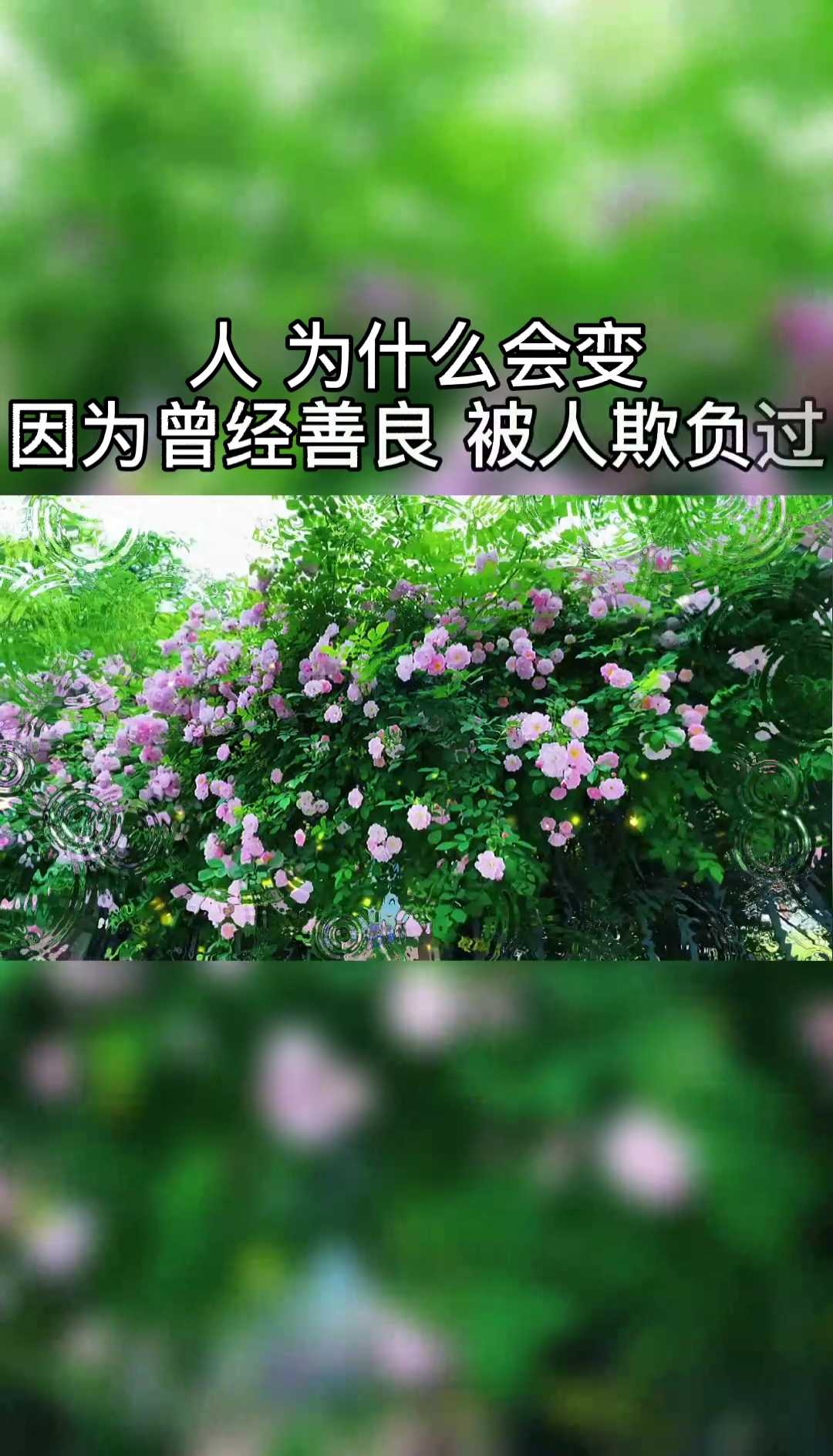 因为我们曾经善良被欺负过……我们改变不是为了害人而是更好的保护