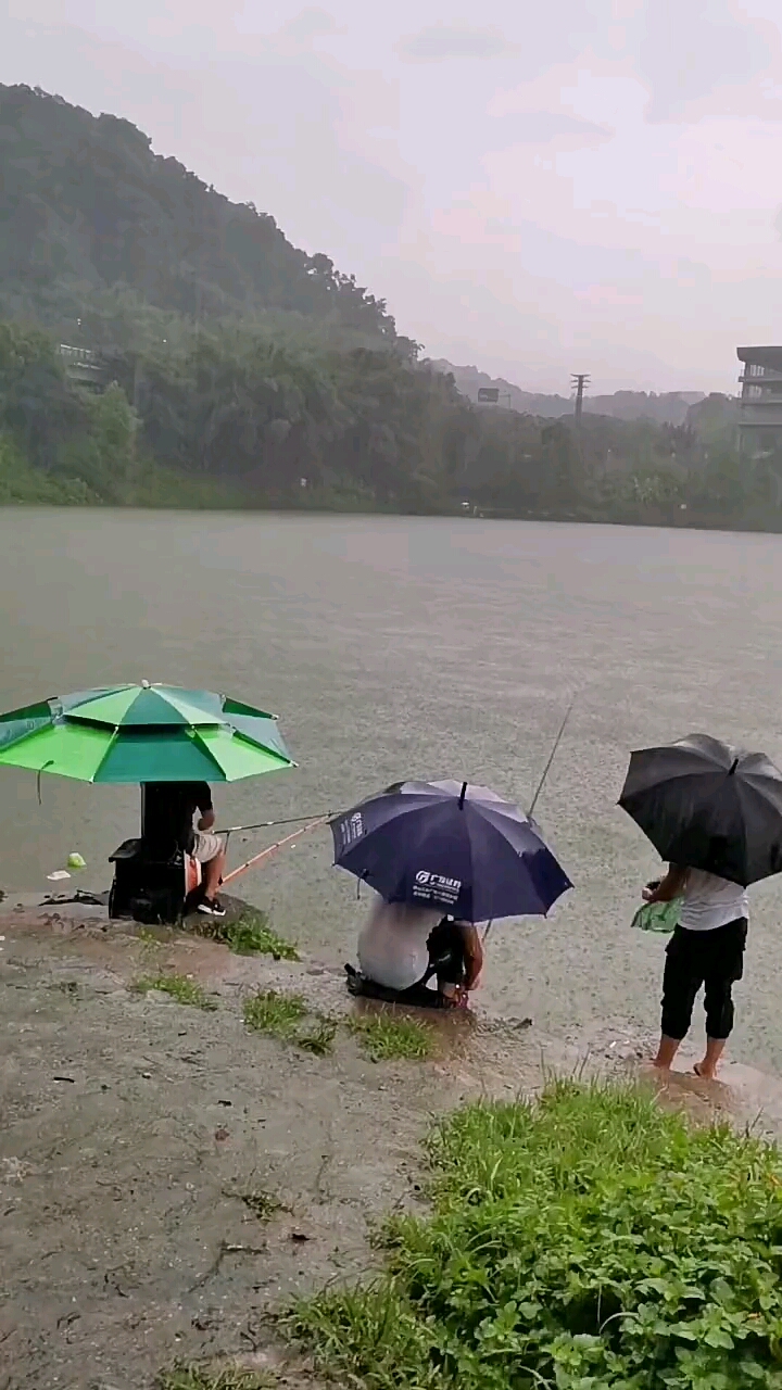 钓鱼爱好者#这算不算是中毒了,打雷下雨都还要钓鱼