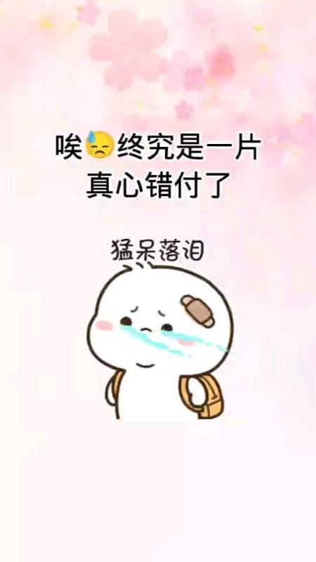 表情包#终究是一片真心错付了-度小视