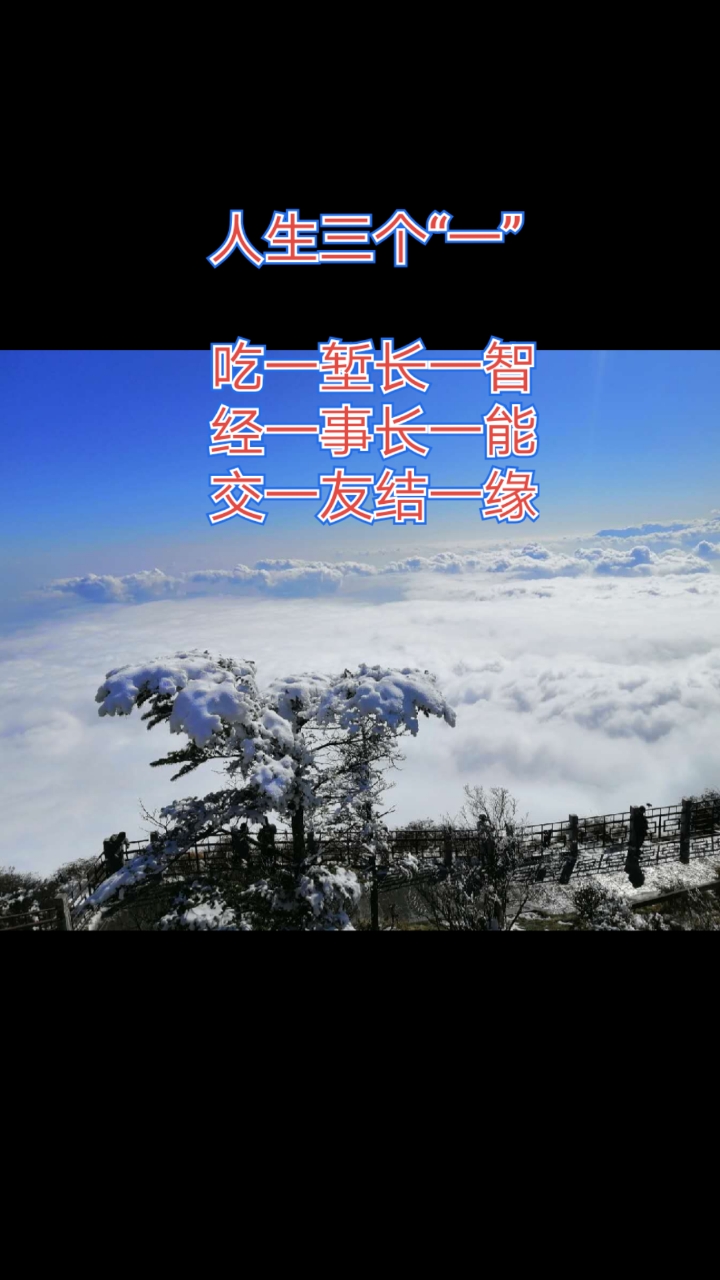 扎心情感语录#人生三个"一"吃一堑长一智经一事长一能交一友结一缘