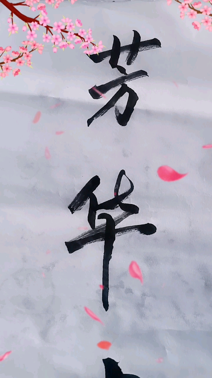 不一样的人生#青春永驻,芳华常在.