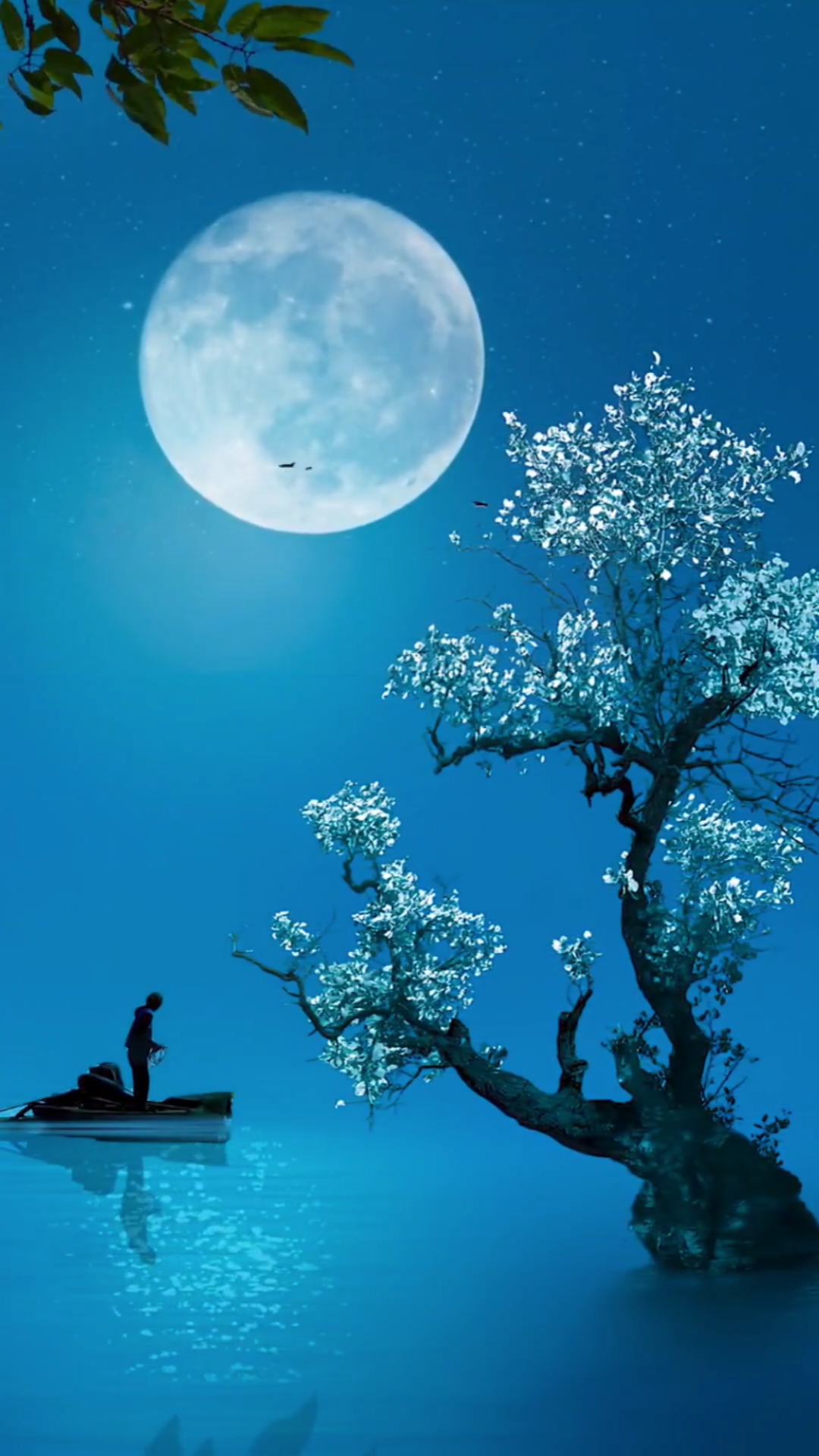 最美的风景#白月光,心里某个地方,那么亮,却那么冰凉,每个人都有一段